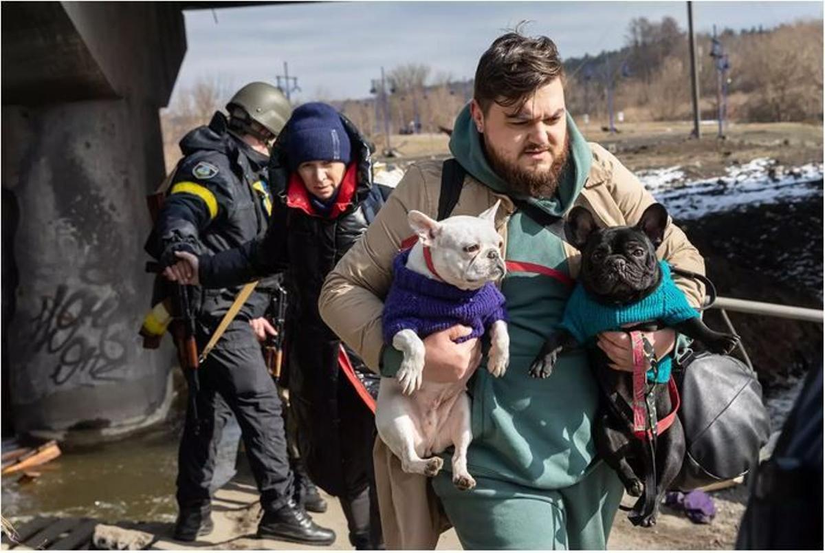 Ciudadanos ucranianos con sus mascotas
