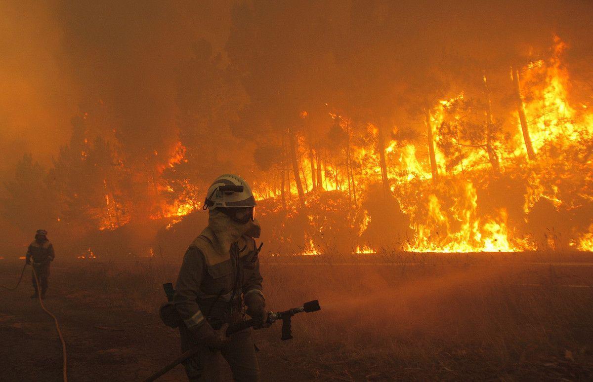 Las olas de calor provocan incendios forestales