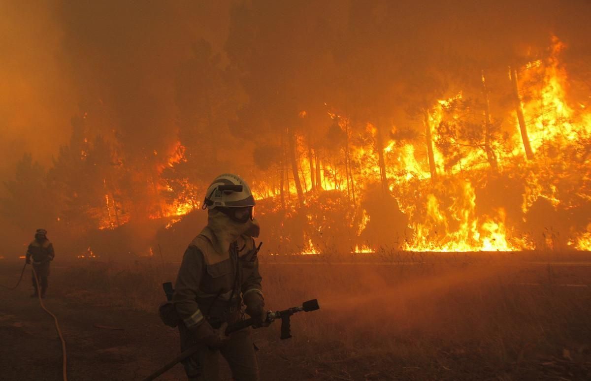 Las olas de calor provocan incendios forestales