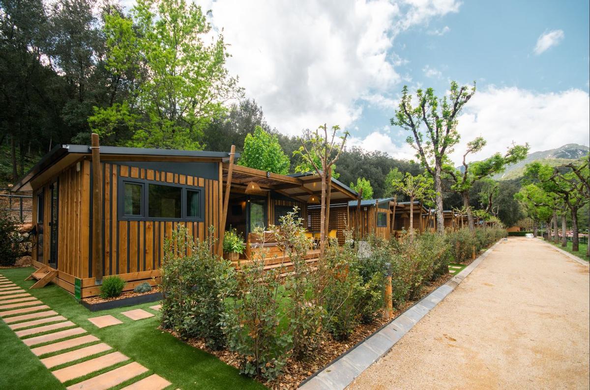 Alguns dels bungalows del càmping Taiga Bassegoda Park.