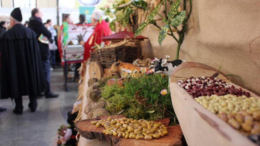 Exposición de fabes en la pasada edición del Mercáu de primavera de Villaviciosa.