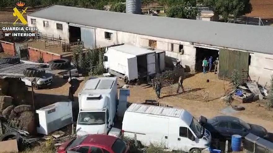 Detienen a un hombre en Toledo por vender carne de cordero sin garantías sanitarias