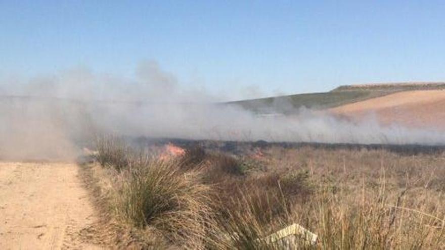 Zamora revive su peor pesadilla y registra dos incendios