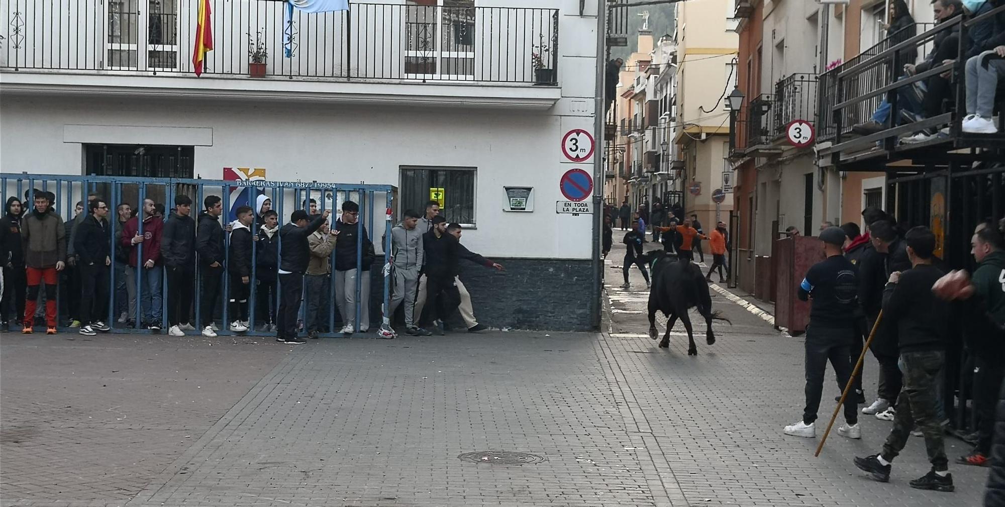 Navajas festeja a San Antón