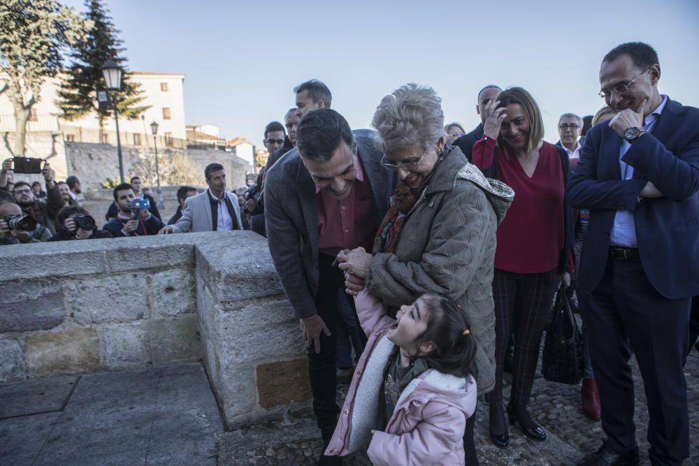 Pedro Sánchez visita Zamora