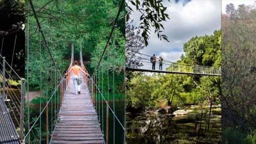 Siete puentes colgantes de vértigo para visitar en Galicia