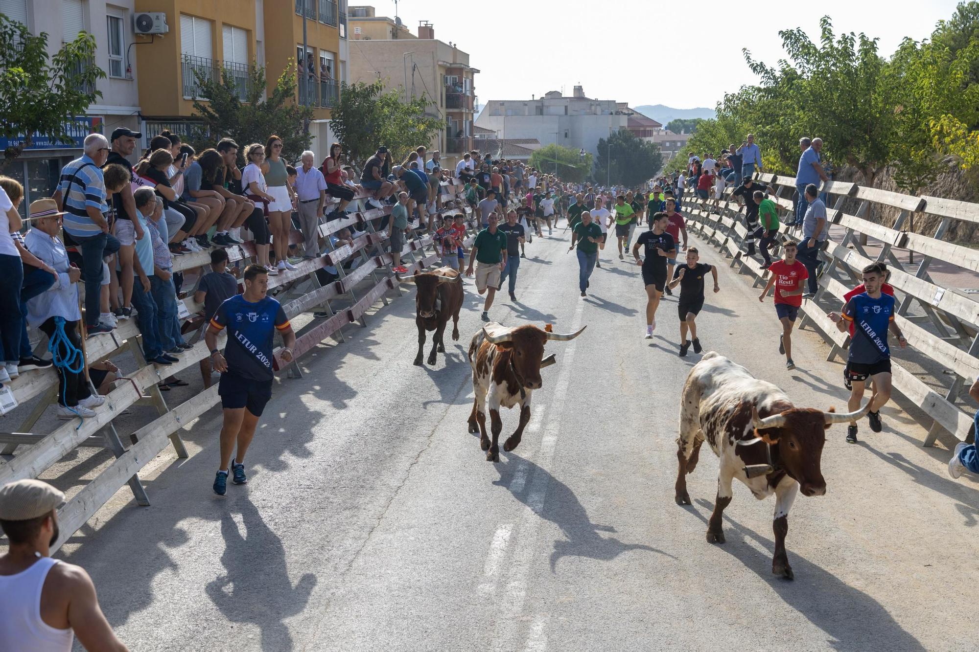 Cuarto encierro de la Feria Taurina del Arroz en Calasparra