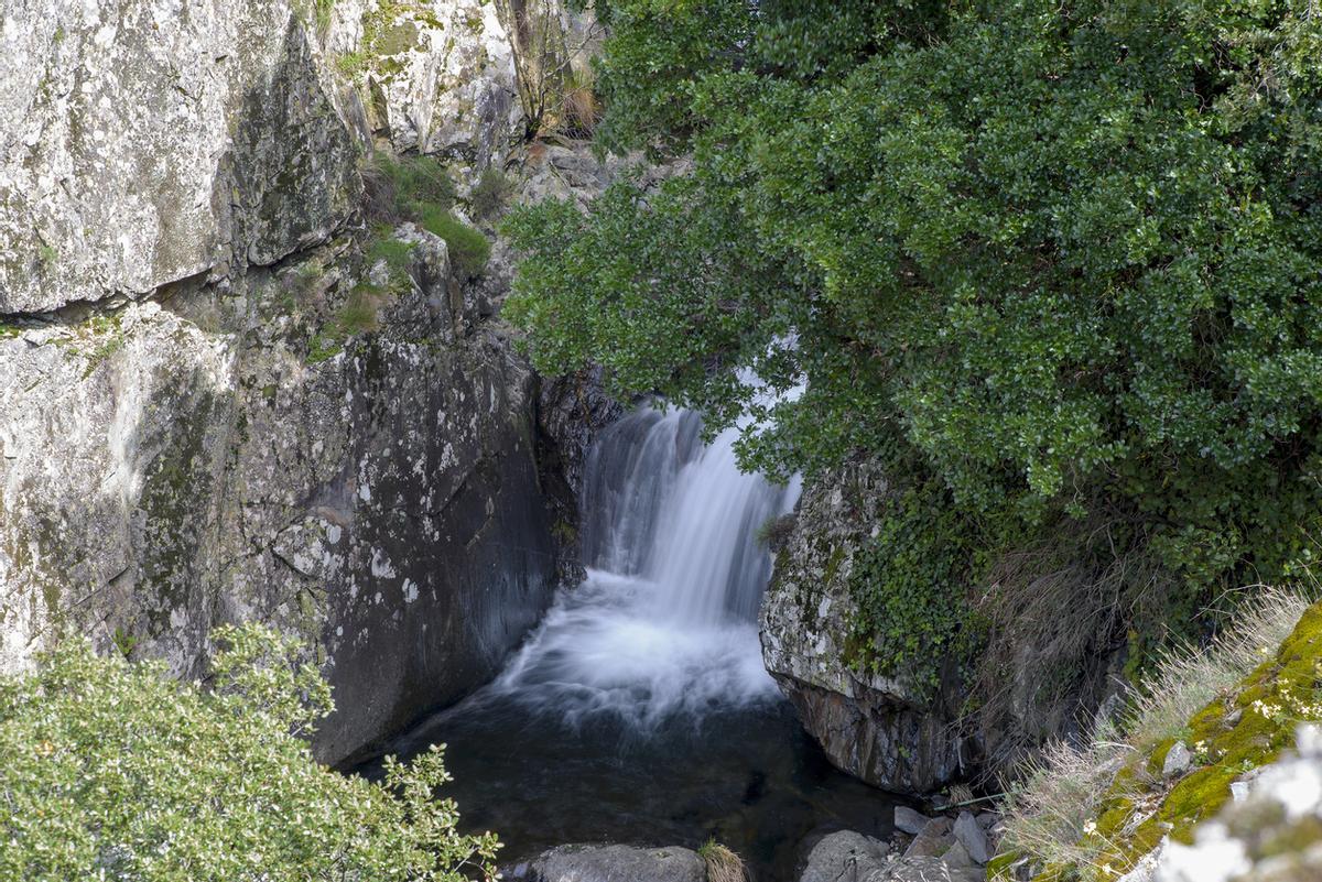 Su paisaje es tan húmedo y tan verde que no te lo esperas