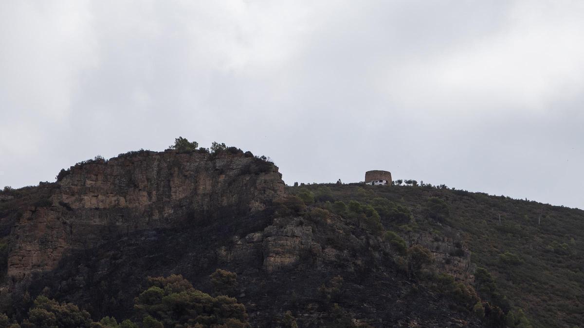 Terreno quemado por el incendio, a 23 de agosto de 2026, en Gátova