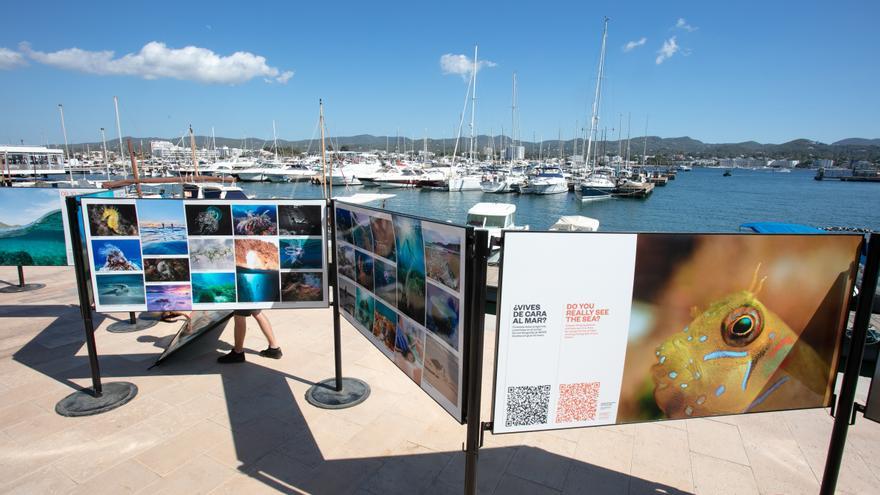 Una exposición para defender el mar de Ibiza