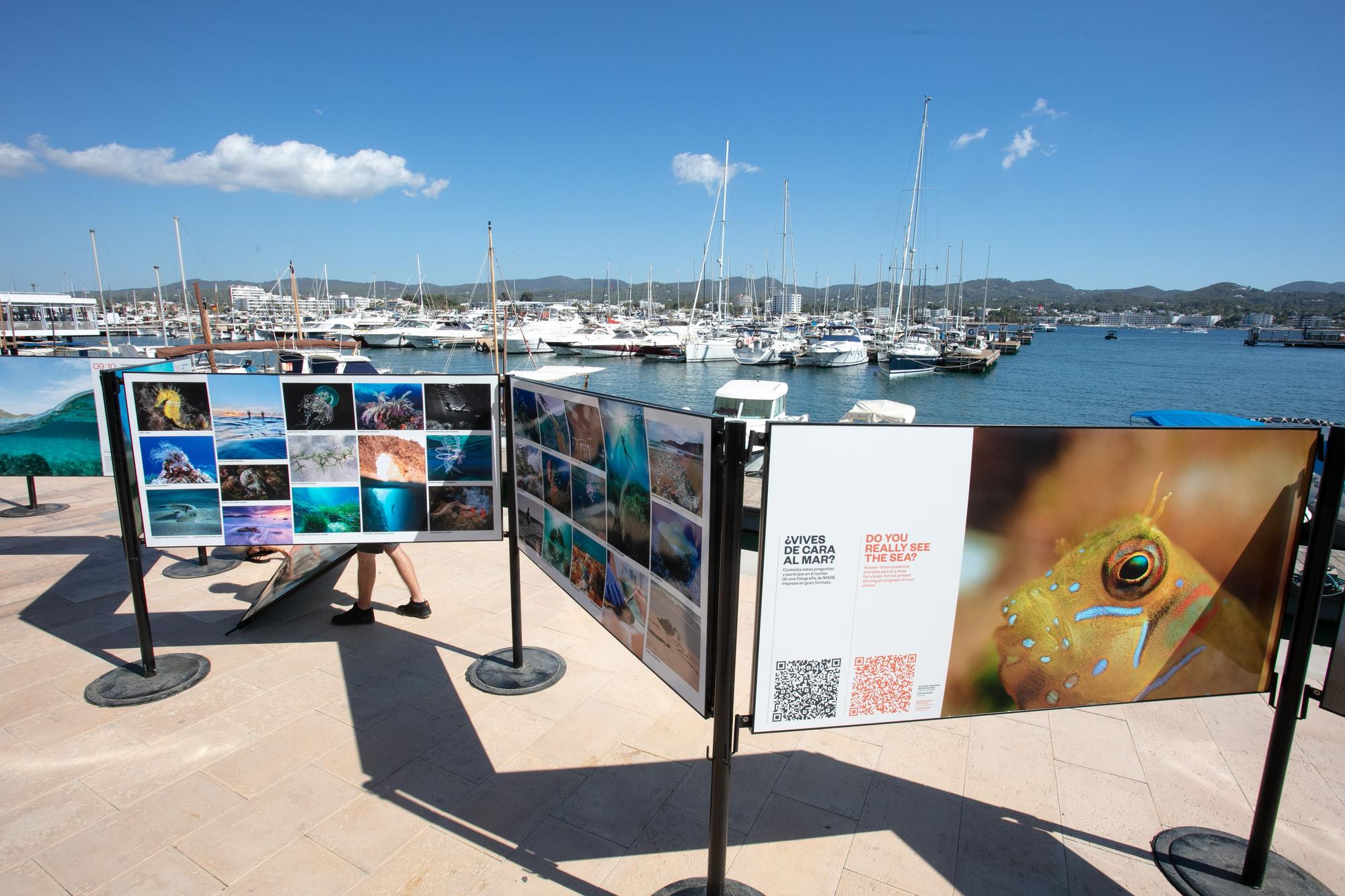 Una exposición para defender el mar de Ibiza.