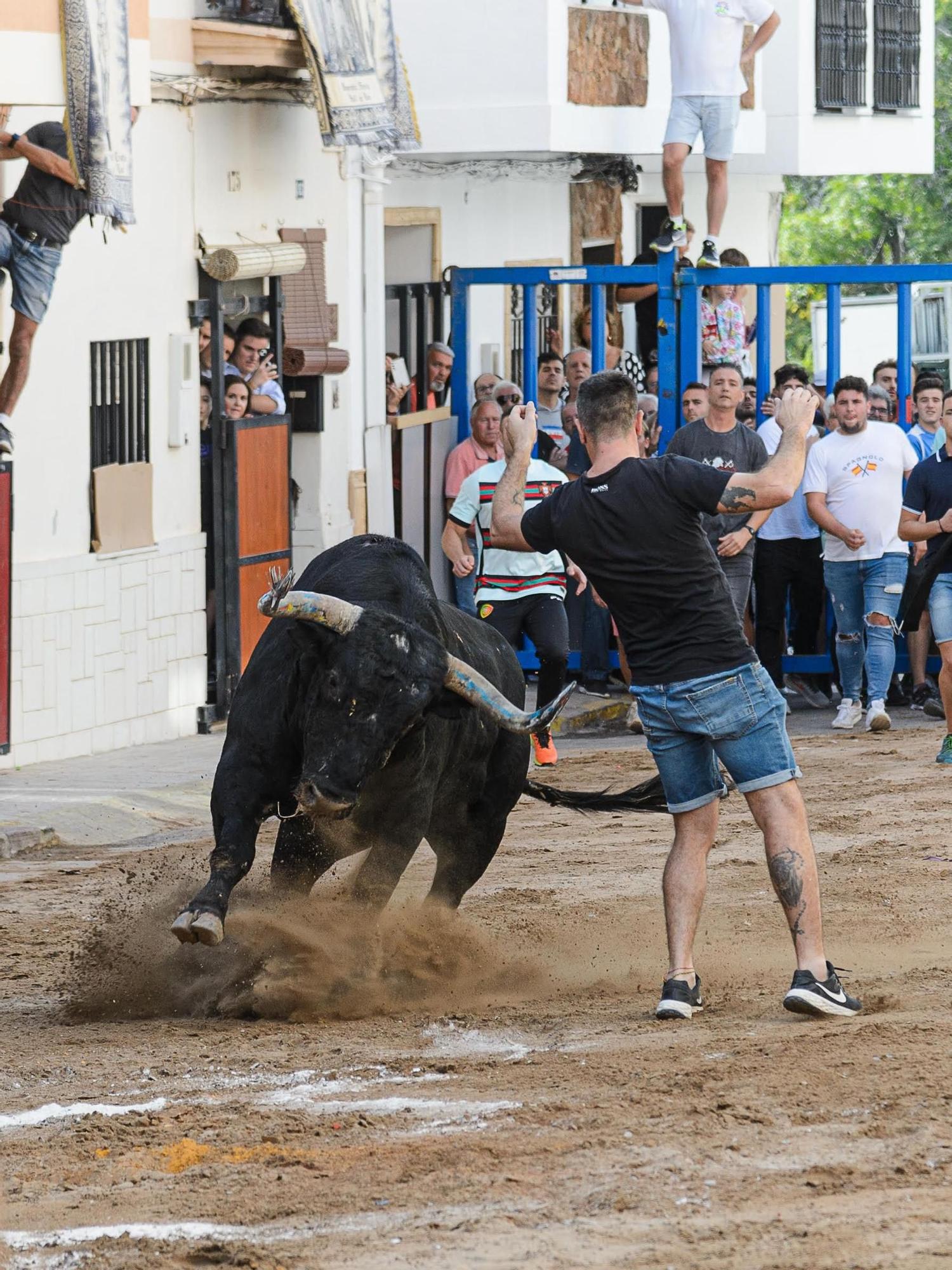 Los toros exhibidos ayer ofrecieron un buen espectáculo a la afición.