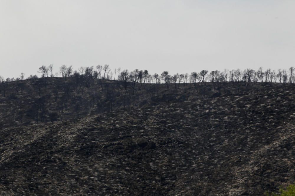 Andilla: ocho años desde su gran incendio