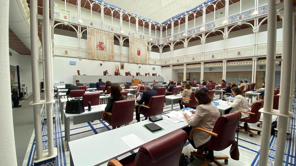 Sesión plenaria en la Asamblea