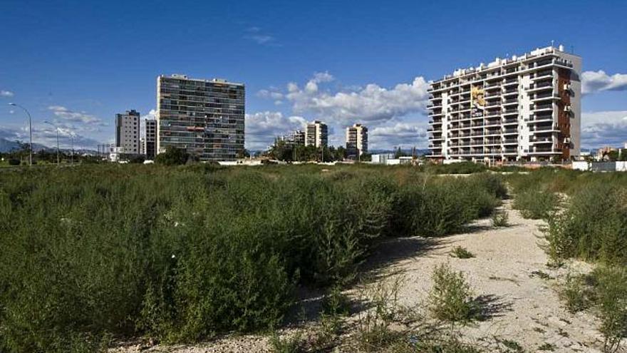 Imagen de archivo de terrenos en el Pau-5 en Playa de San Juan.