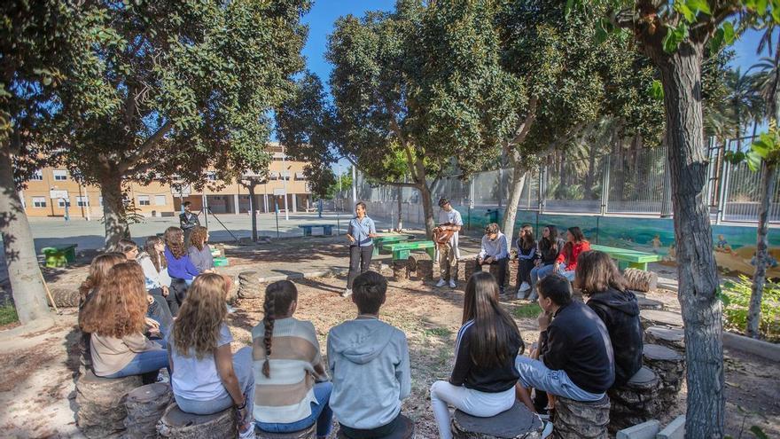Compromís lleva a las Cortes la supresión del FP de igualdad en Elche y el PSOE urge rectificar "de inmediato"