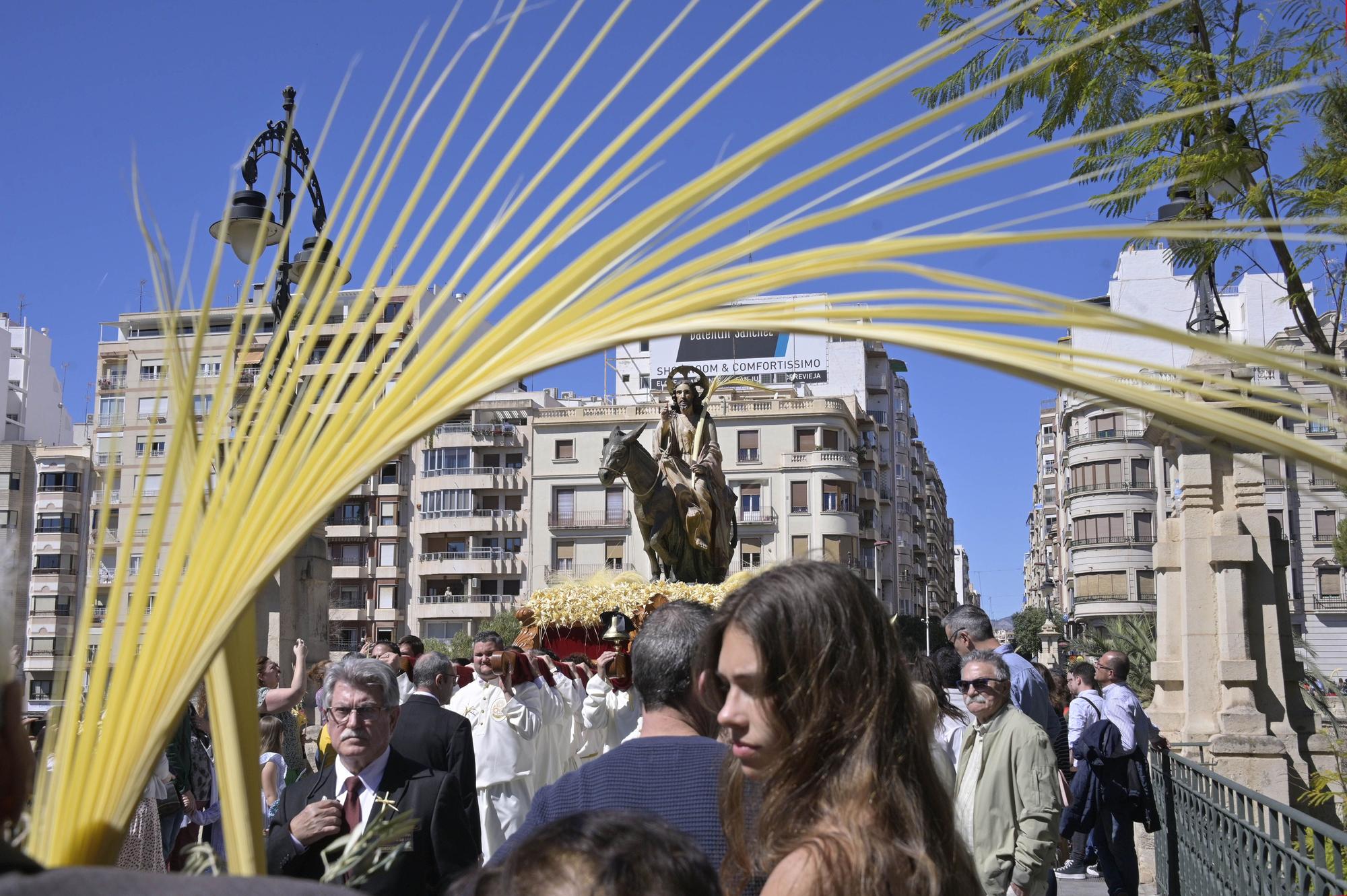 Domingo de Ramos en Elche