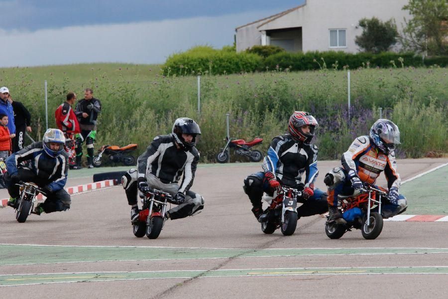 Exhibición de Minimotos en Morales del Vino