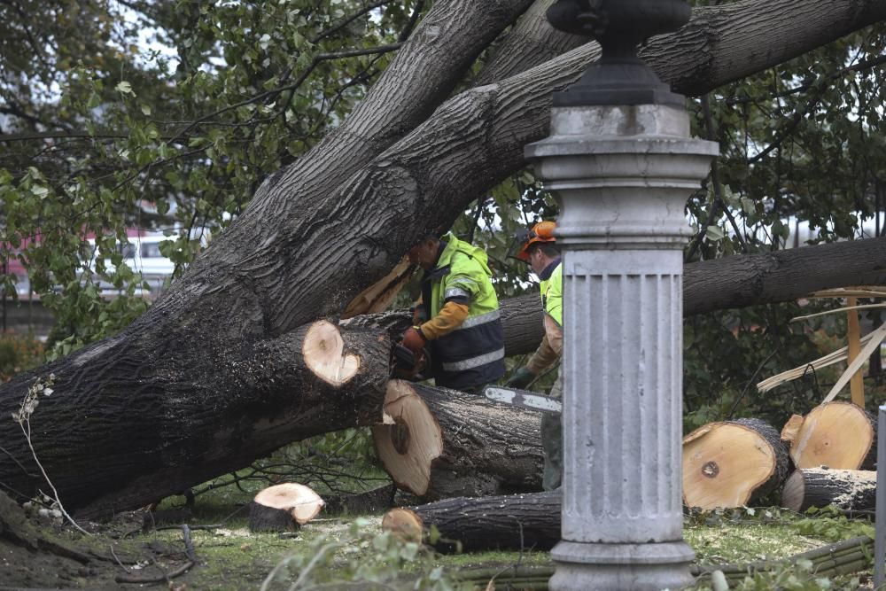 Las consecuencias de la tormenta en Avilés.