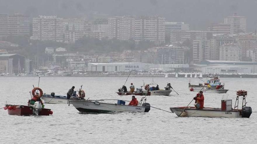 Profesionales del marisqueo a flote, trabajando en la ría de Vigo.