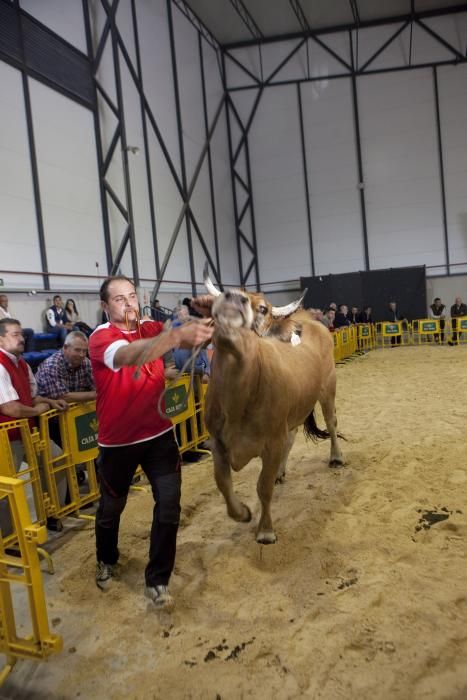 Fiestas de La Pontona en Pola de Laviana