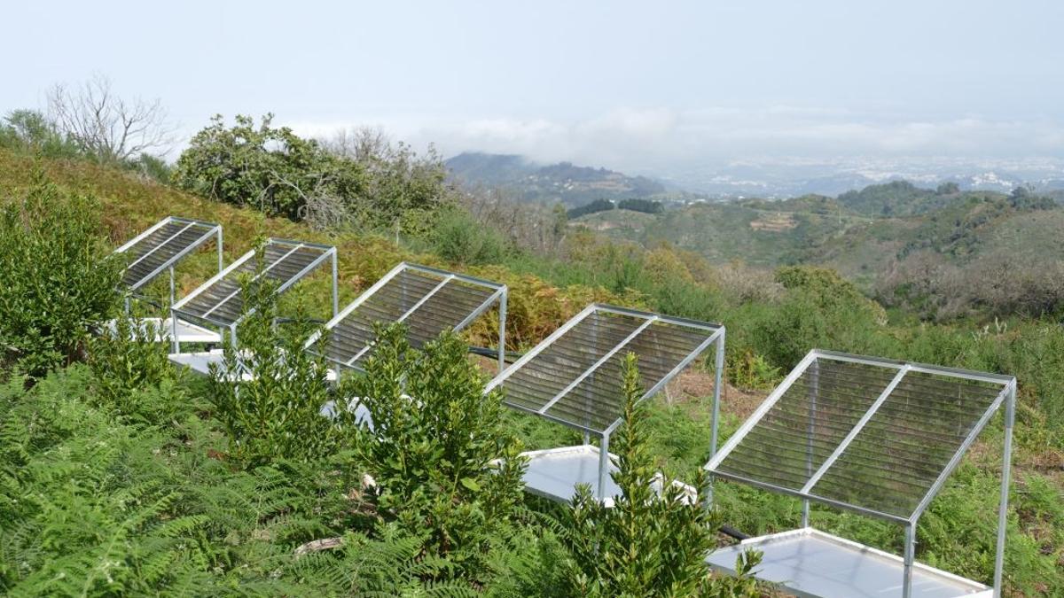 Instalación del sistema de recolección del aigua de la niebla a las Islas Canarias