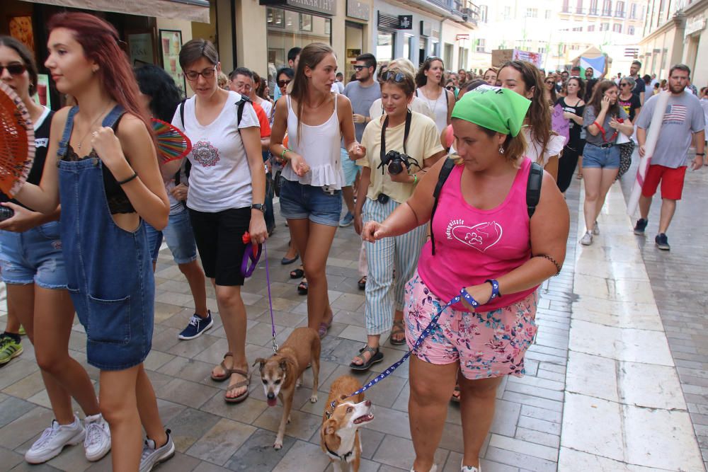 Centenares de personas se unen en Málaga contra la tauromaquia