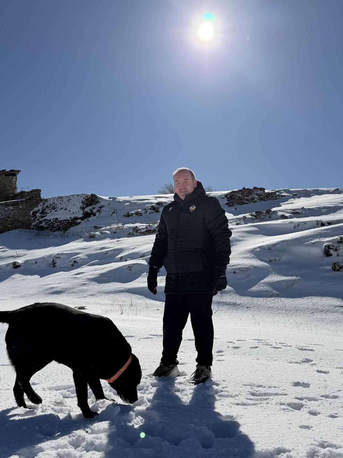 Hatchi impulsa un transporte privado para las mascotas.