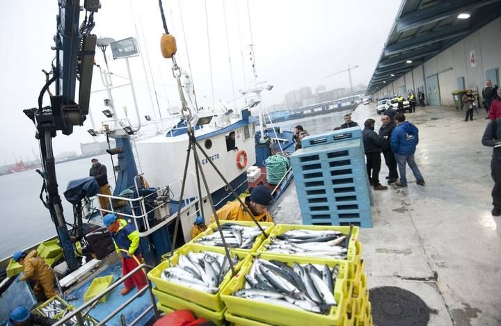 El 'Mar de Alba', obligado a descargar xarda en A Coruña