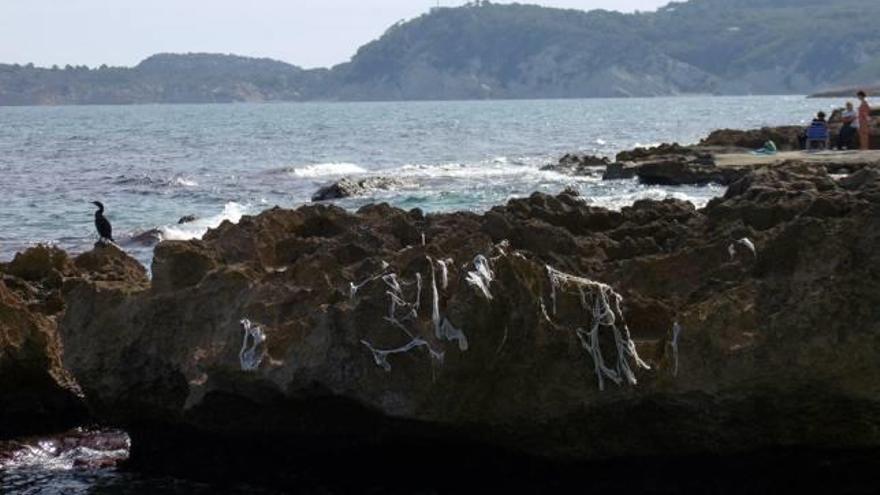 Las toallitas arrojadas al retrete ensucian la playa del Ministre