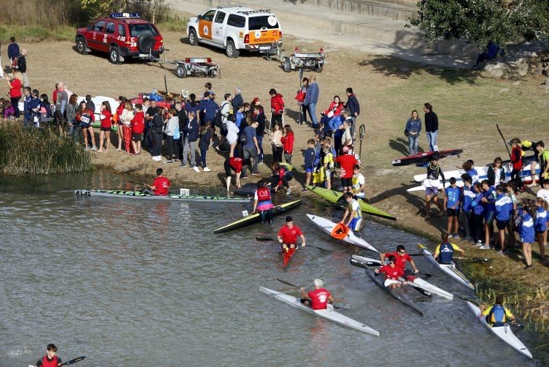 Campeonato de regatas en el Ebro