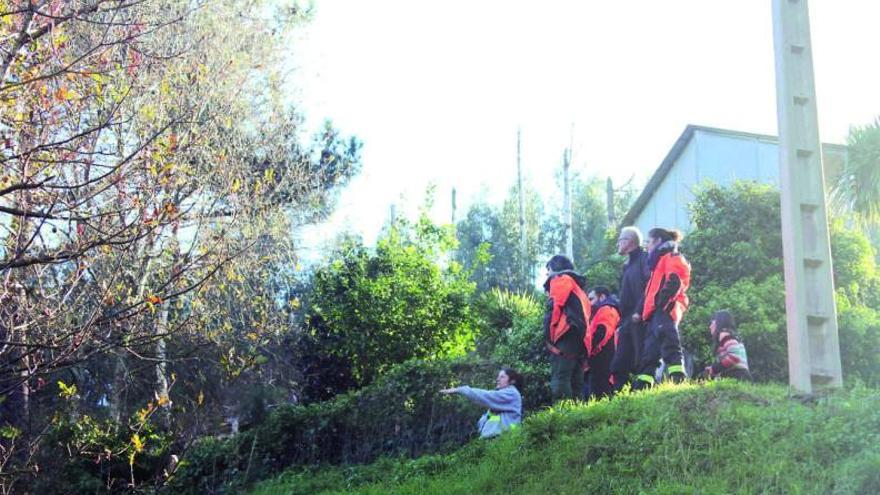 El parque forestal de Nigrán protegerá del fuego tres barrios con un cinturón verde