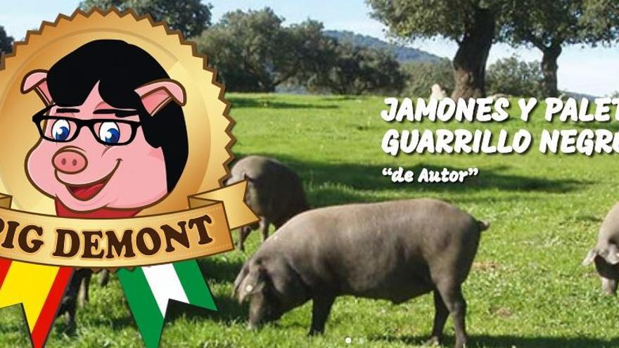 Puigdemont denuncia l&#039;empresa «Pig Demont»