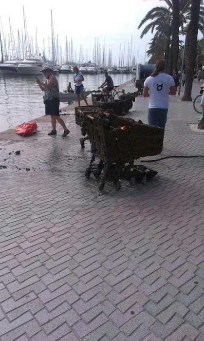 Sacan toneladas de basura de la bahía