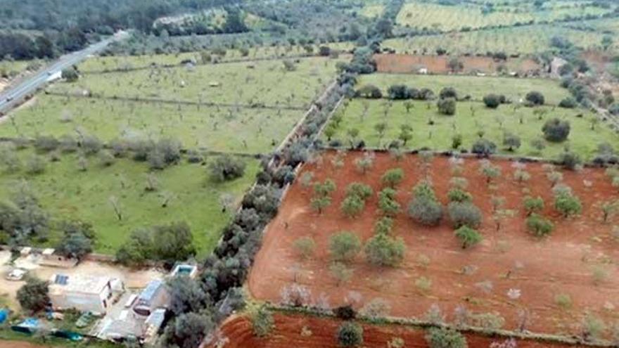 La línea de tren Llucmajor-Campos a vista de pájaro