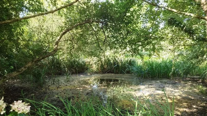 VÍDEO: Protesta en Villanueva de Pría (Llanes) por el abandono de la laguna Vau de Meda