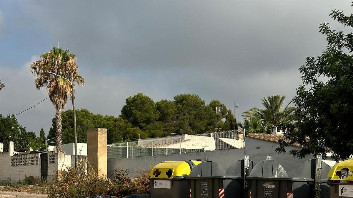 Los restos de poda en los contenedores de la Colonia Monte Hermoso.