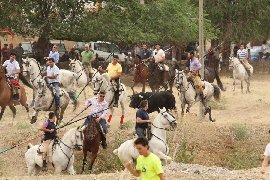 Segundo encierro taurino en Guarrate