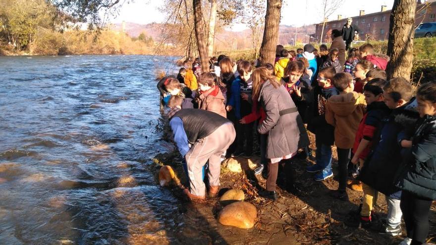 Los niños de Laviana sueltan 2.500 alevines de trucha en el río Nalón