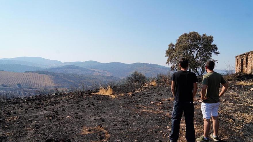 Dos jóvenes observan una de las zonas dañadas por el fuego en Alcaracejos el pasado verano.