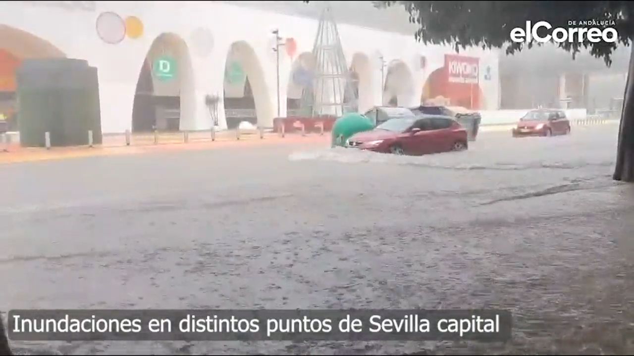Inundaciones, árboles caídos, líneas de autobús desviadas y el