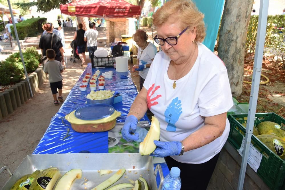 La Fira Nen de Navarcles