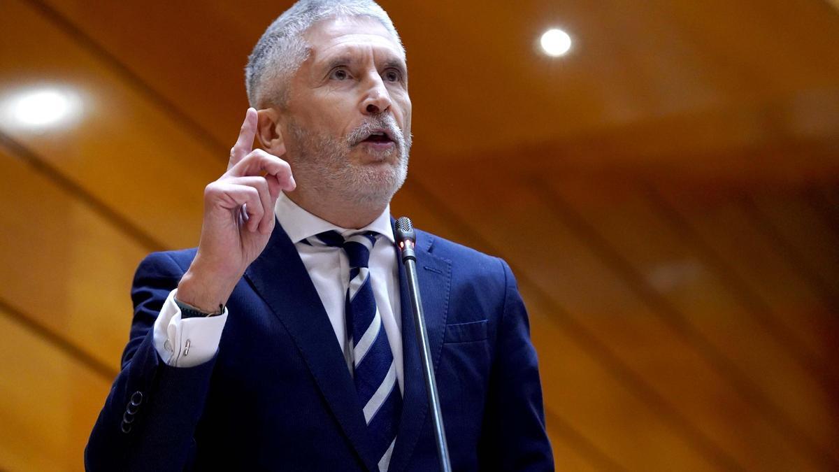 Fernando Grande-Marlaska  durante la sesión de control al Gobierno en el Senado