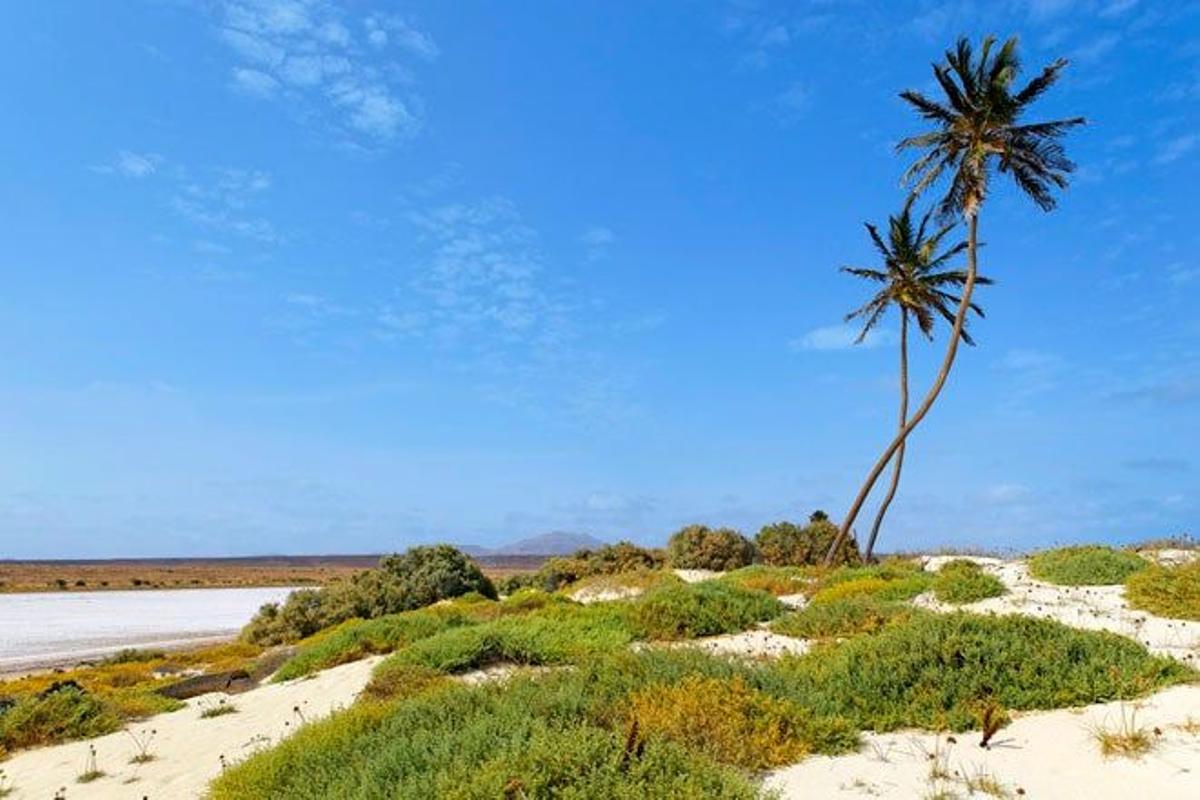Playa de Coral Velho, en la isla de Boa Vista, Cabo Verde.