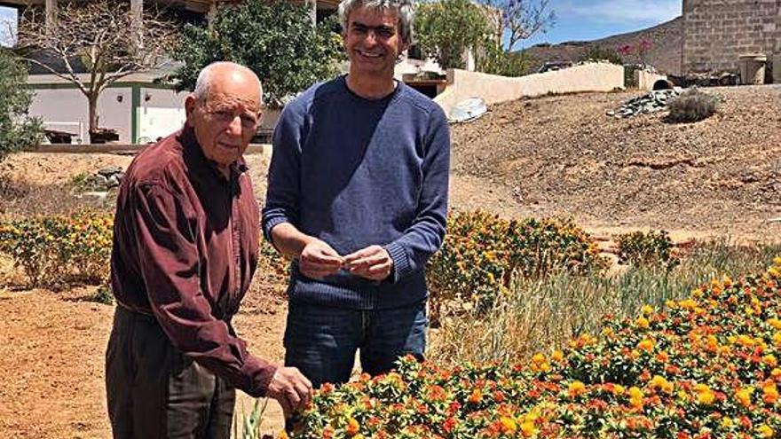 El agricultor Antonio González, de 92 años, junto al biólogo Juan Miguel Torres, en una gavia de azafraneros.