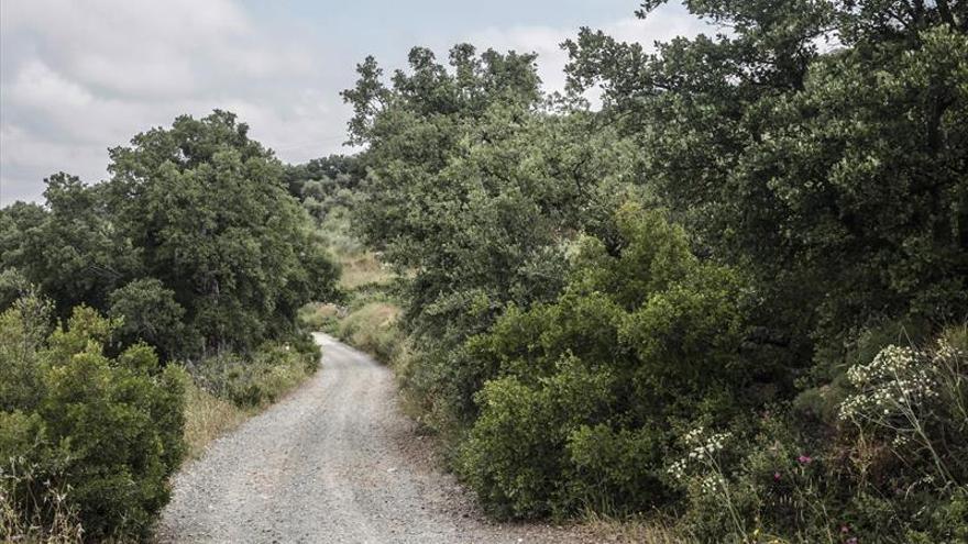 Ruta por los Llanos y la Sierra de la Mosca