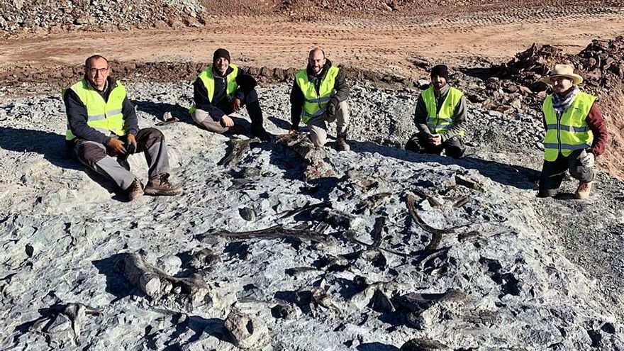 Hallan nuevos restos de
un dinosaurio de diez metros de largo en Morella