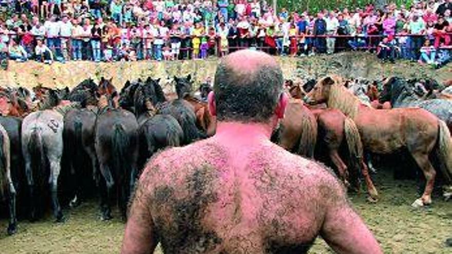 El domingo estuvo protagonizado por la &quot;Rapa das Bestas de Xiabre&quot;, en la Carballeira de San Cibrán. / j.l. oubiña