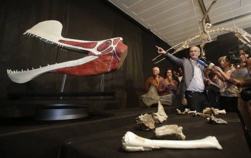 Alexander Kellner, paleontólogo brasileño, muestra los fósiles de recién descubierto pterosauro en Río de Janeiro
