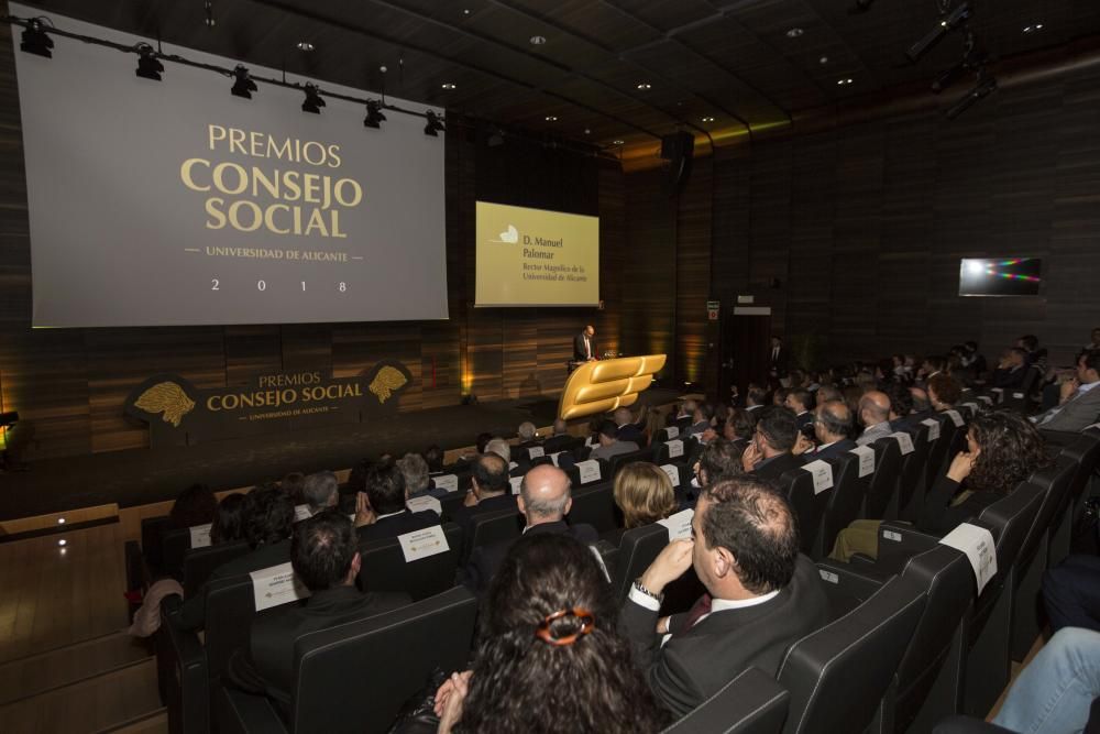 Premios del Consejo Social de la UA